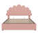 Double Size Ottoman Bed Velvet