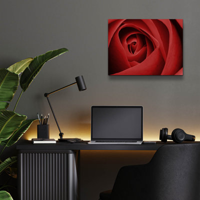 «Red Rose» par Tom Quartermaine