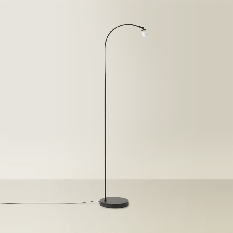 Derosier 155cm Arched Floor Lamp, Black