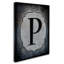 « letter p », art textuel sur toile tendue-21938931