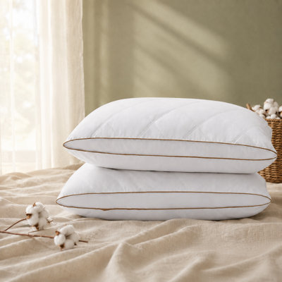 Ensemble de 2 oreillers en duvet d'oie à plumes et en duvet à soufflet Gusset