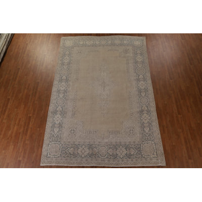 Distressed  Traditional Area Rug 8x13
