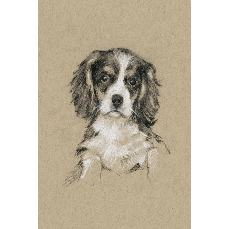 'Breed Sketches III' by Ethan Harper - Painting Print, 122cm H x 81cm W, Black Floater Frame