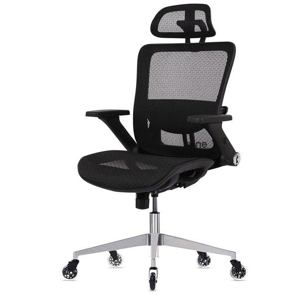 Ebern Designs Shekhar Mesh Task Chair & Reviews