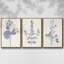Marine Botanicals IV, ensemble de 3 toiles encadrées-97709756-97709757