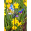 Jeu de jardin Shiffer