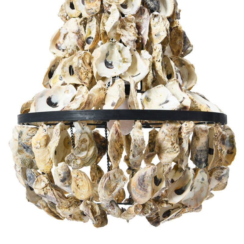 Lustre en métal et coquille d'huître drapée