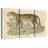 Brampt Graceful Vintage Leopard-108059005