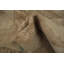 Tapis oriental Ziegler