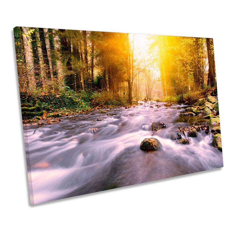 Forest River Yellow Sunset - Wrapped Canvas Print, 91.4cm H x 137.2cm W x 4cm D