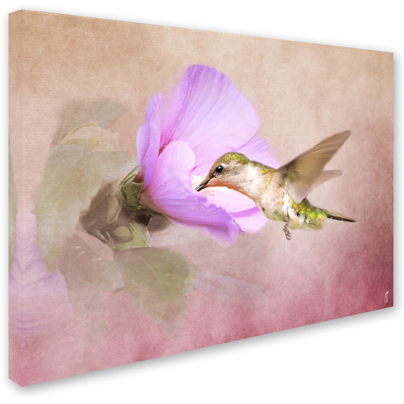 Luxurious Abstract Hummingbird Canvas Print, 15" x 20"