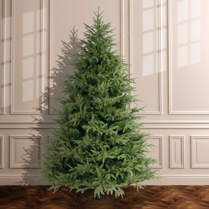 Frasier Grande Tree, 7' H