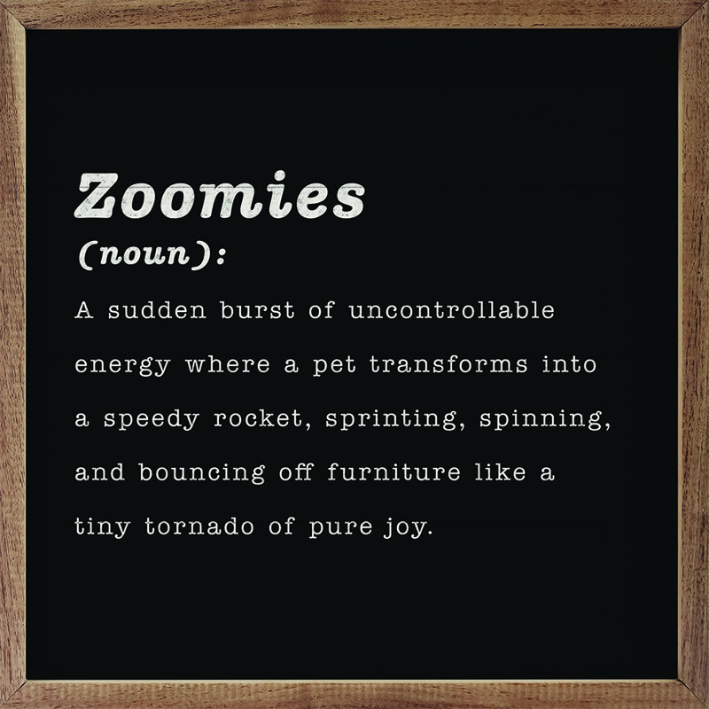 Zoomies Définition, Noir, H 24 po x l 24 po