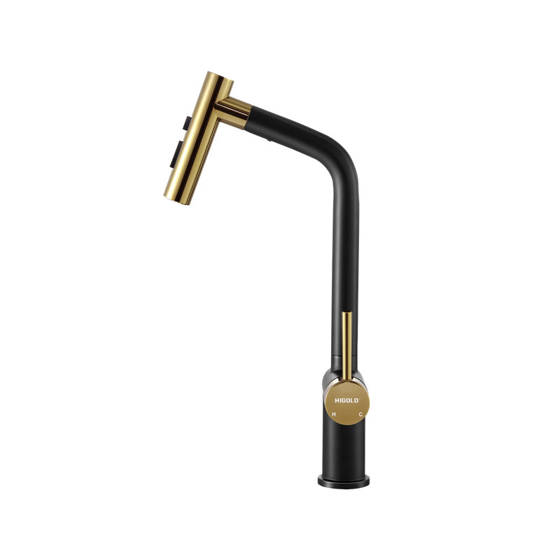 Robinet de cuisine à poignée simple HIGOLD BN1.0 avec récompense IF, or rose et finition noire, Rose Gold/Black