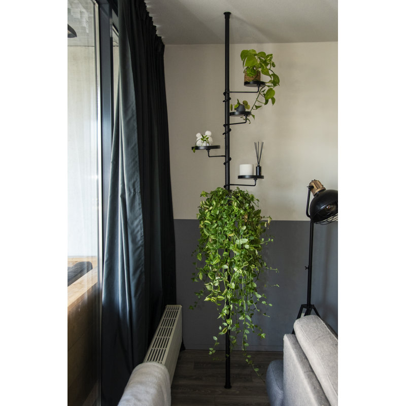 Telescopic Etagere, 301cm H x 40cm W x 24cm D