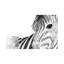 «Zebra Gaze» par Patricia Pinto - Reproduction d'art sur toile encadrée-54267471-54267472-54267484