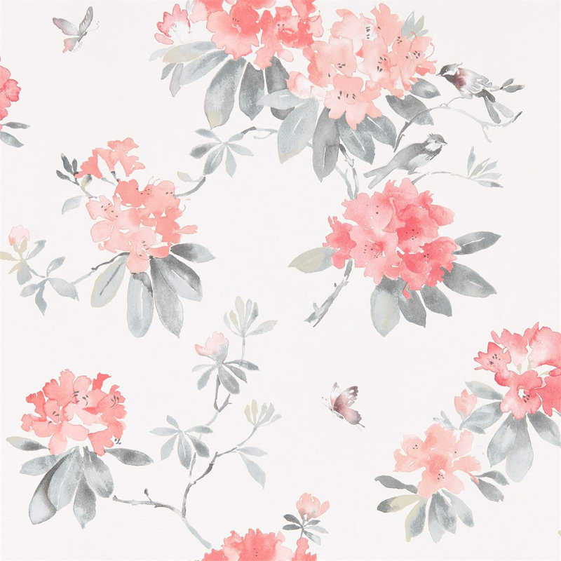Rhodera Wallpaper, Coral/Gray