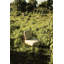 Riviera Outdoor Dining Side Chair