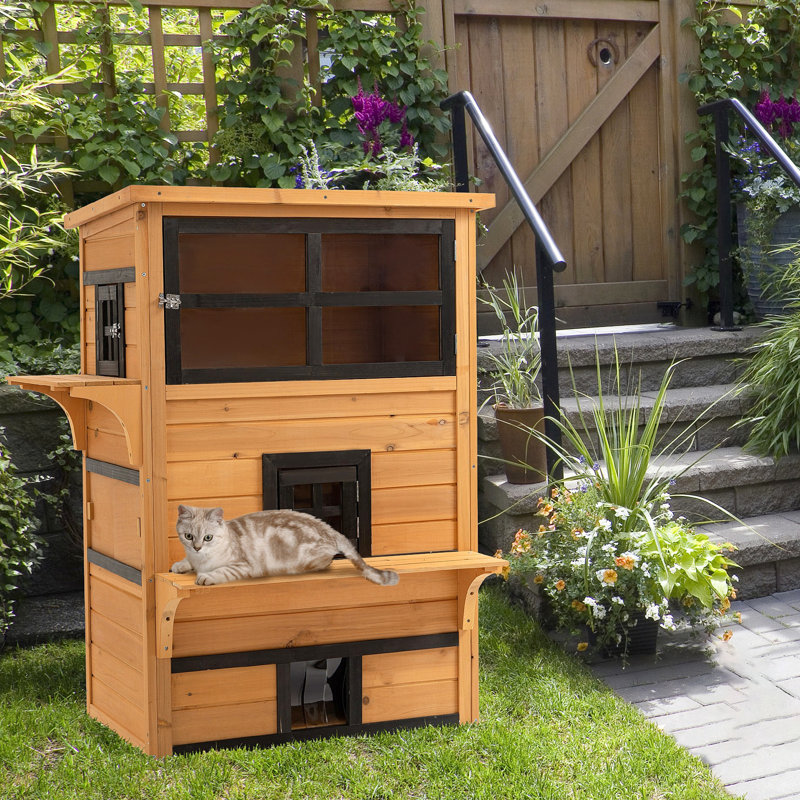 Maison pour chat à 3 étages, chaton extérieur, jaune, plancher surélevé, toit en asphalte, jaune: avec portes de secours, plateformes de saut