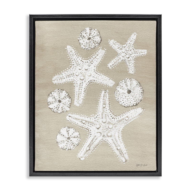 «Sandy Beach Treasures» par Candra Boggs, Cadre flottant noir de jais, H 21 po x l 17 po