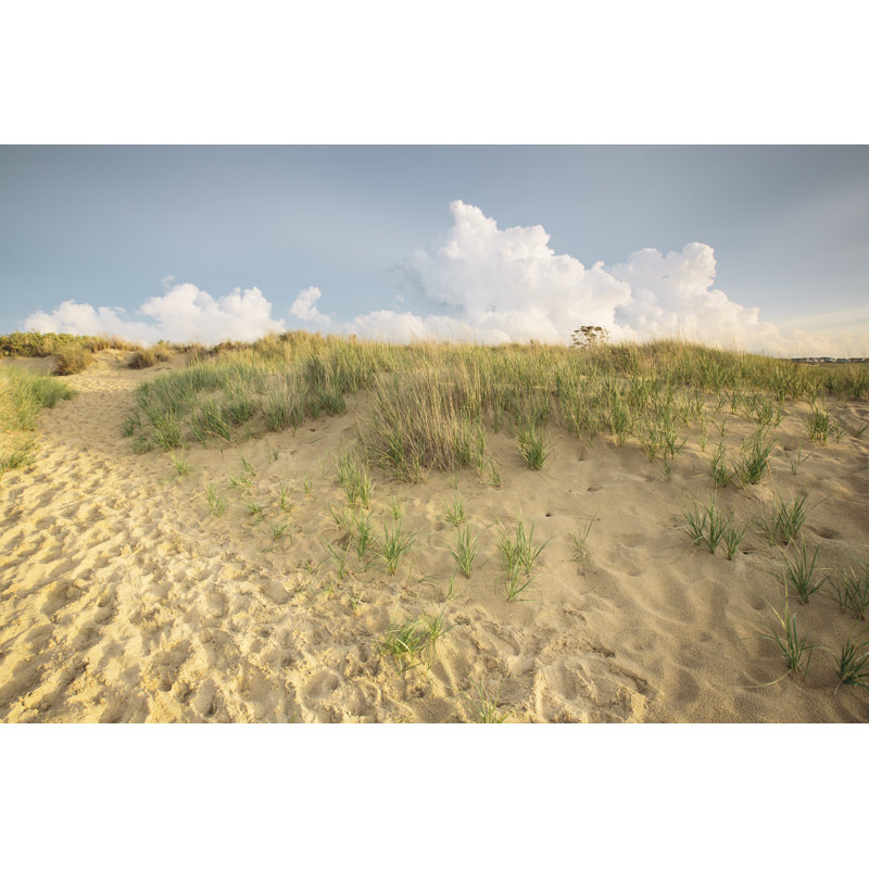 First Landing Dunes IV - Photograph, 61 cm H x 91 cm W, Wrapped Canvas