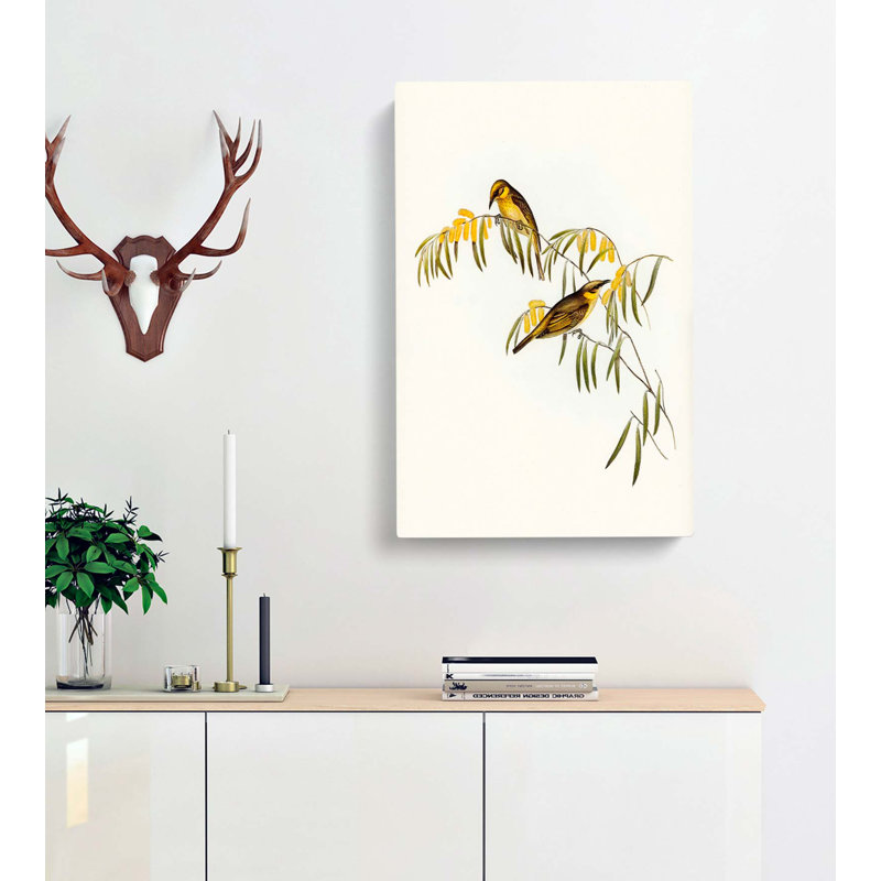 Plumed Honeyeaters by Elizabeth Gould - Wall Art, 50cm H x 35cm W x 3cm D, Wrapped Canvas