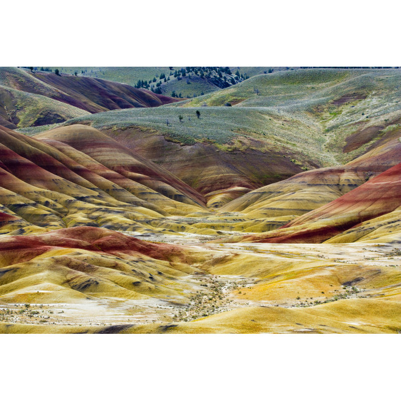 Hills Oregon - photographie sur toile tendue, H 32 po x l 48 po