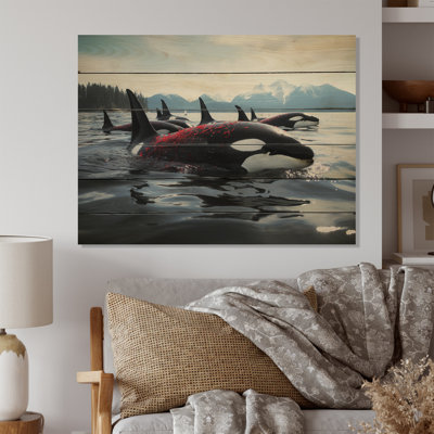 " Black Red Marine Animals Majestic Orcas "