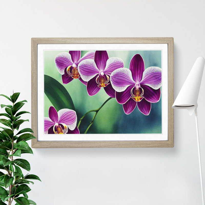 Luscious Orchid Flowers - Single Picture Frame Print, 46cm H x 64cm W x 2cm D, Oak