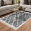 Tapis gris / blanc Attaway-1179008209