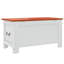 Camp Trunk / Footlocker-600967068