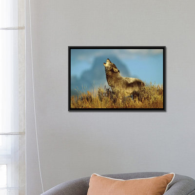 «Timber Wolf Adult Howling, Teton Valley, Idaho», reproduction de photo sur toile