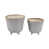 Beige Ivory selected
