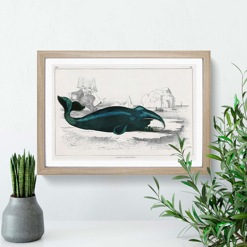 Beached Whale by Oliver Goldsmith - Single Picture Frame Painting, 33cm H x 45cm W x 2cm D, Oak Framed