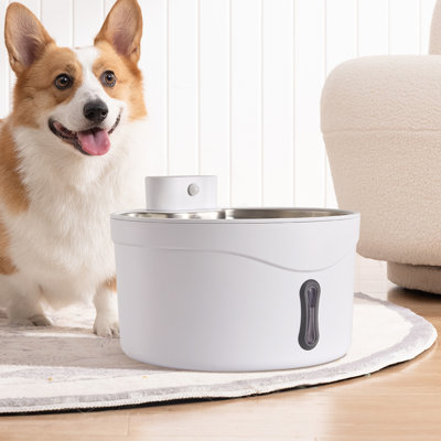 Pet Fountain