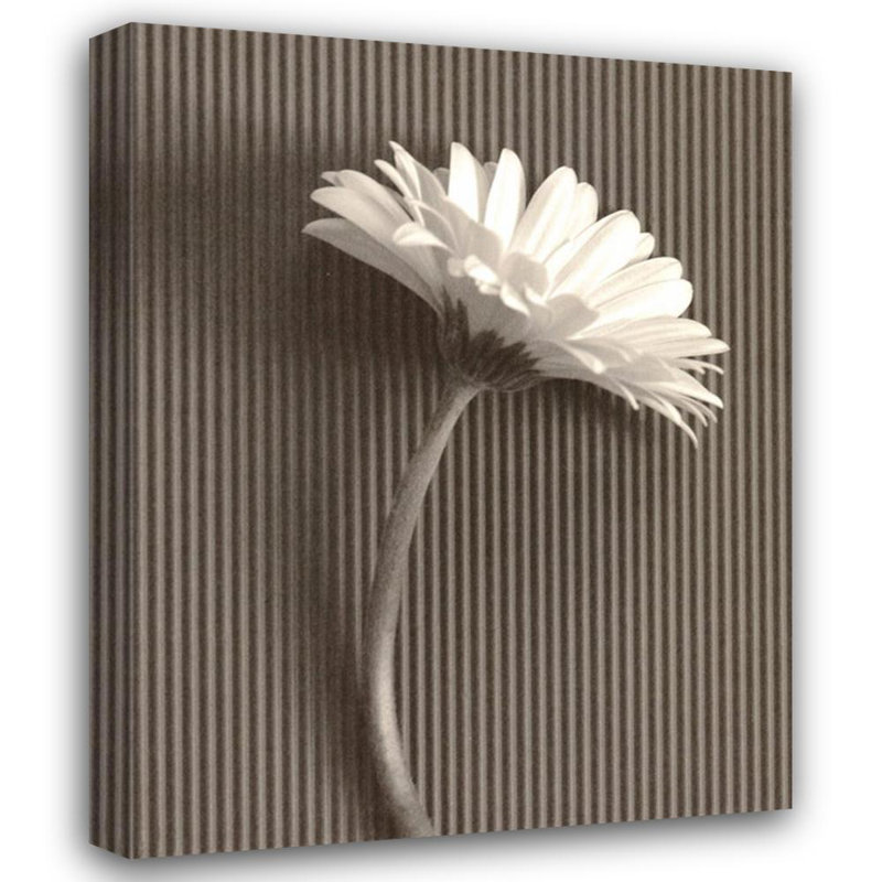 Fresh Cut Gerbera Daisy III, 35" H x 28" W