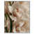 White Floater Frame