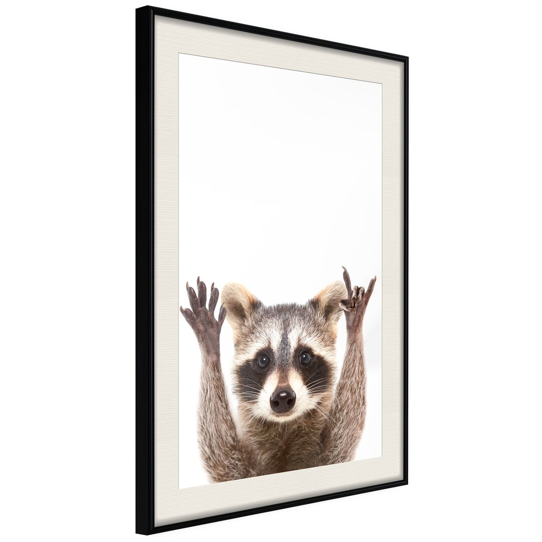 Gerahmter Fotodruck Funny Racoon