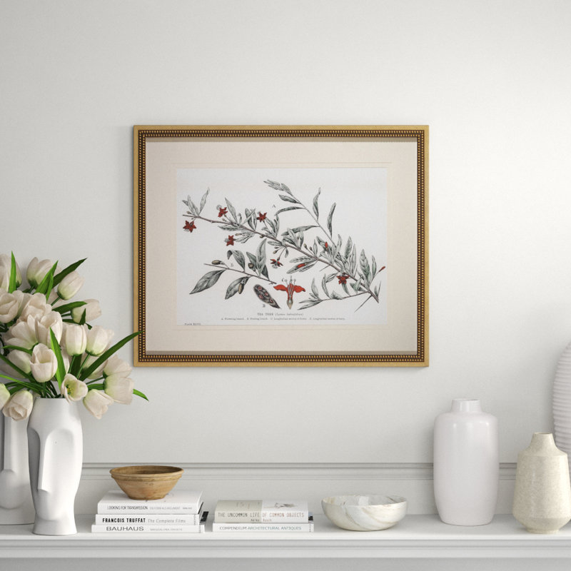 Tea Tree Drawing Print