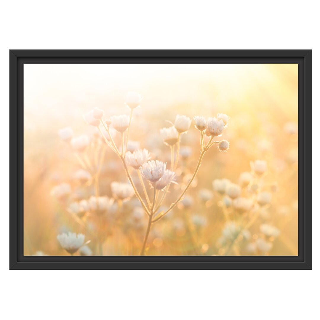 Gerahmtes Wandbild Romantische Blumenwiese