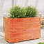 Wood Planter Box-104931173-108200269