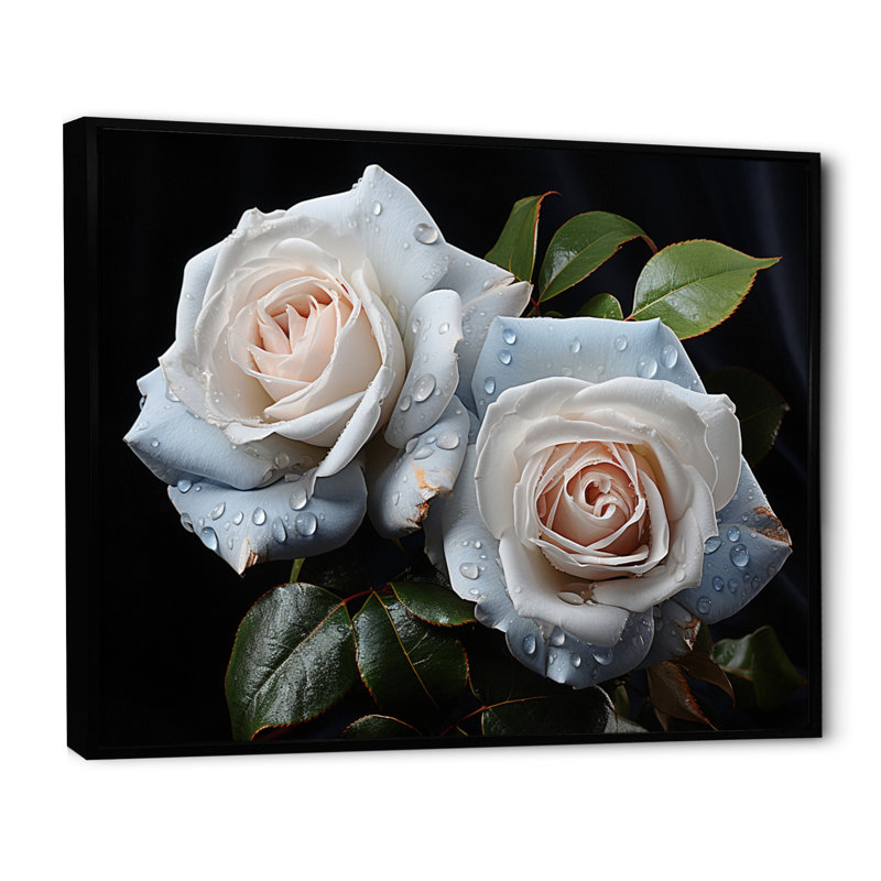 Roses blanches, impression romantique II, H 12 po x l 20 po x P 1 po, Cadre flottant noir