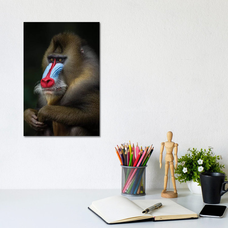 Mandrill Posing by Mogens Trolle - Wrapped Canvas Gallery-Wrapped Canvas Giclée, 20.32 cm H x 30.48 cm W