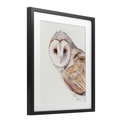 «Peeking Barn Owl Gaze», reproduction encadrée sous verre, conception de Cady