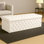 Lux Wide Velvet Chesterfield Rectangle Solid Color Standard Ottoman Box with Storage