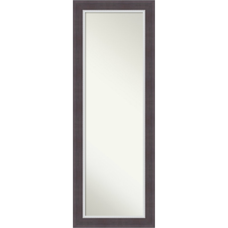Ellie Non-Beveled Framed Full-Length On the Door Mirror, Brown Silver