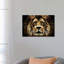 The Lion by SD Smart - Wrapped Canvas Print-49988006