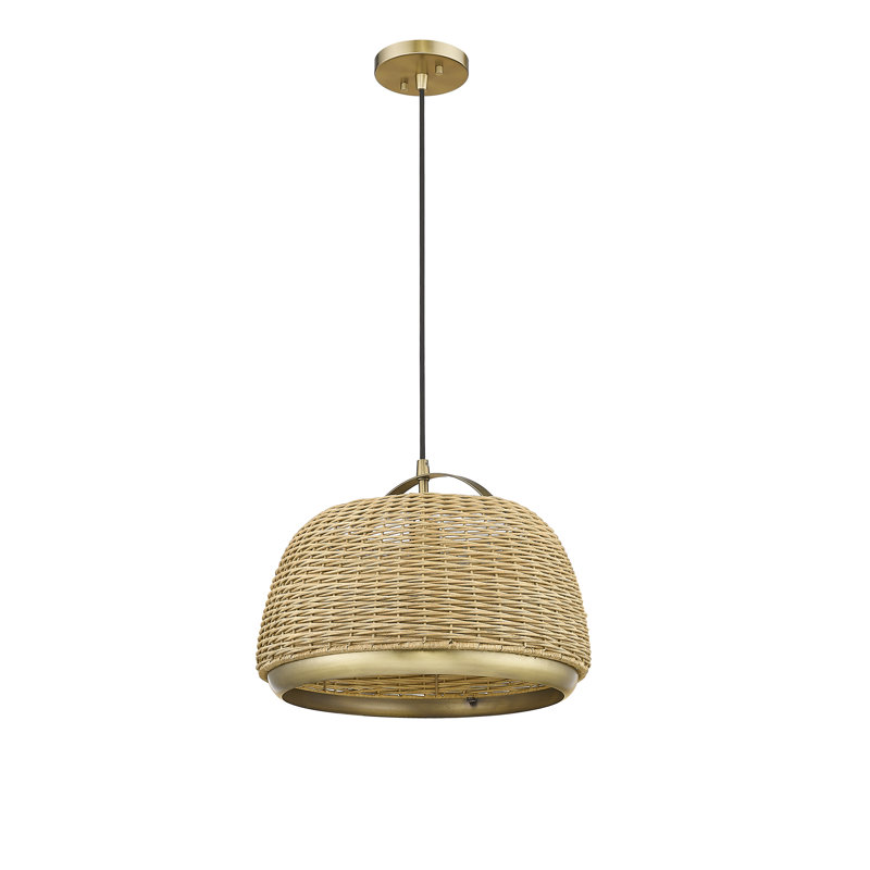 Luminaire suspendu unique et spectaculaire en bronze à 1 lumière Andrico