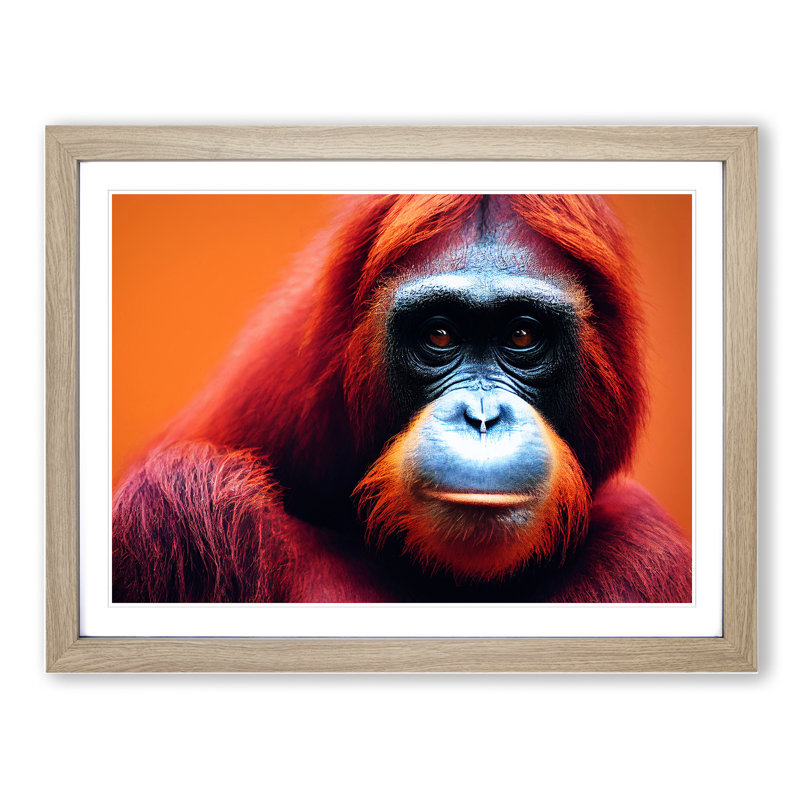 Magnetic Orangutan - Single Picture Frame Print, 25cm H x 34cm W x 2cm D, Oak
