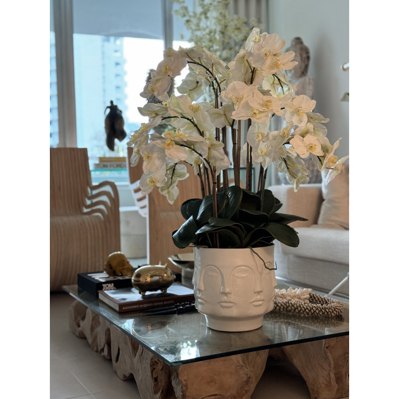 Matte Visage Vase With White Orchids